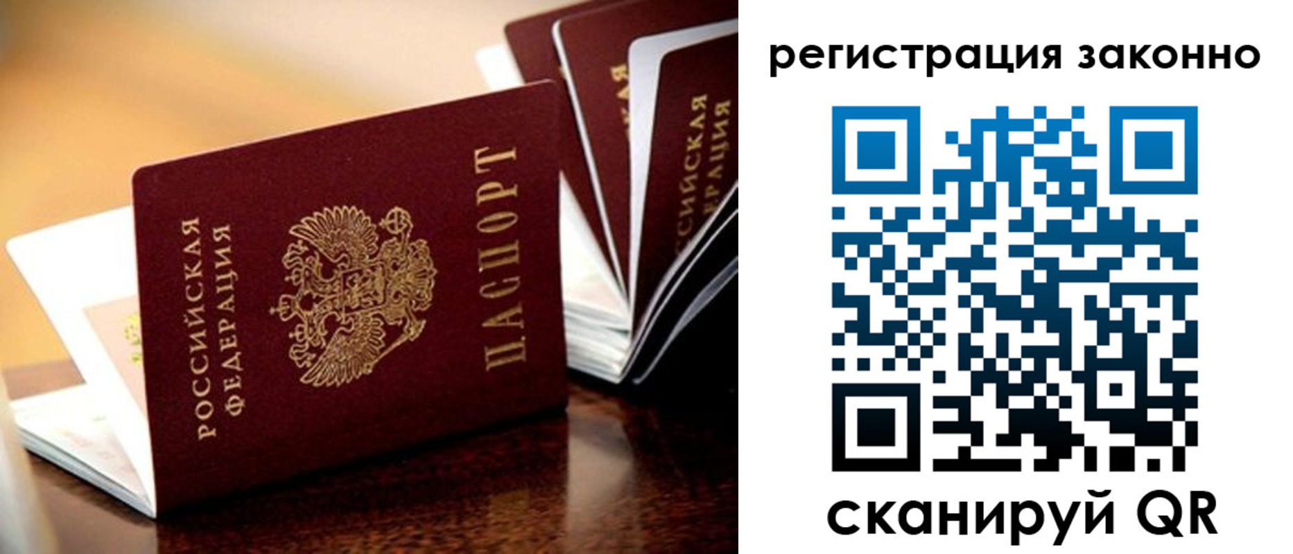 прописка для школы в Благовещенске
